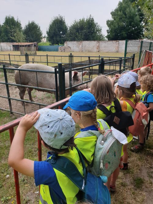 Dierenkamp beleef je Zoo!