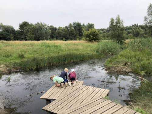 Met de jeep door het oerwoud