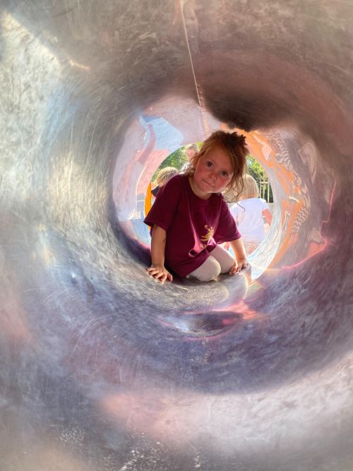 Wat je van beren leren kan