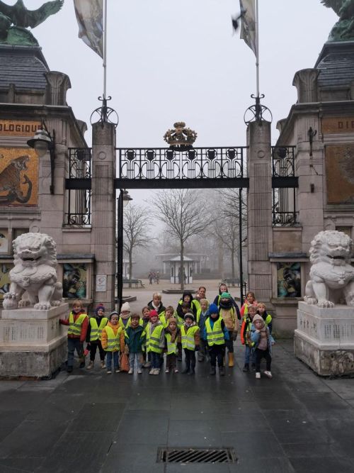 Daguitstap Zoo van Antwerpen